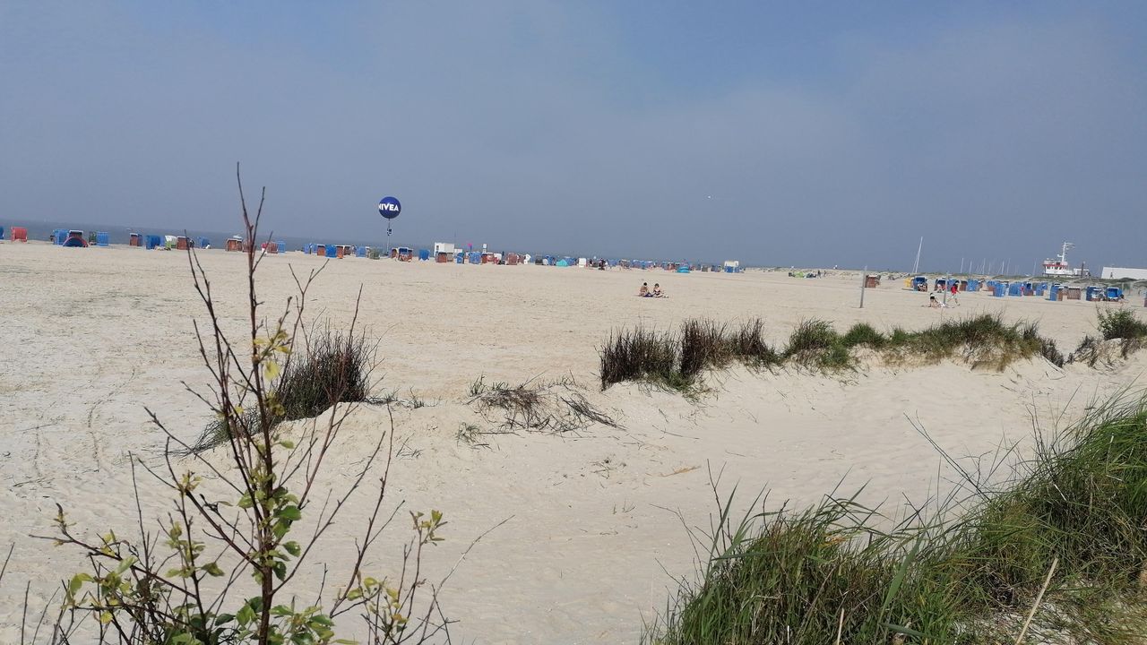 IMG_20210604_173230_BURST080 IMG_20210604_173230_BURST080